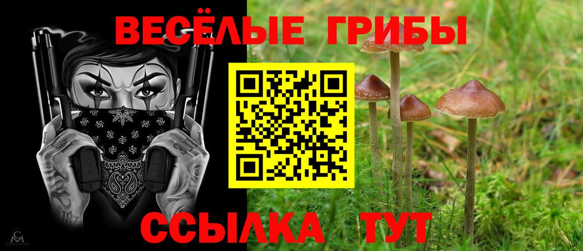 Ступино  где купить наркотик  Вход с VPN  Галлюциногенные грибы мицелий  Галлюциногенные грибы мицелий 